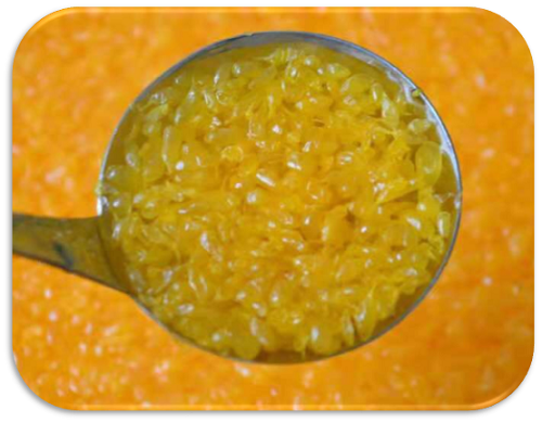 Mandarin Sac in Syrup