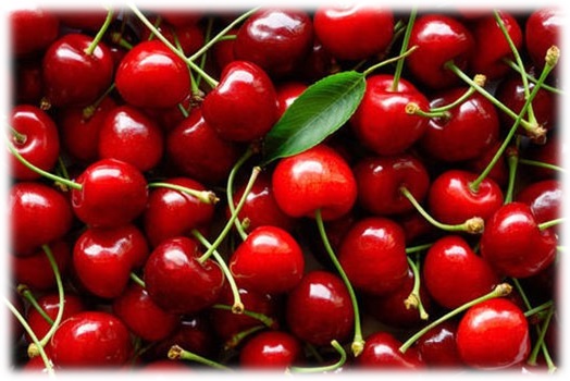 Sour Cherry Juice Concentrate