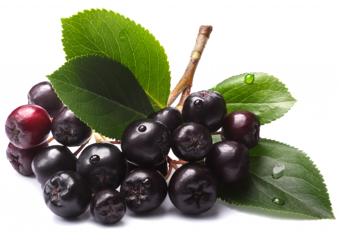 Aronia Juice Concentrate