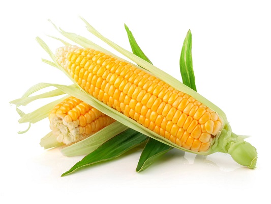 Sweet Corn Concentrate